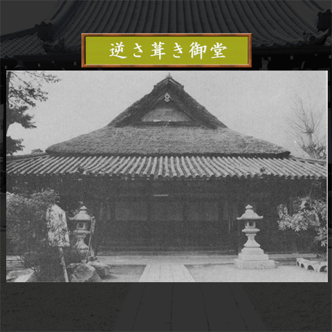 t䓰P