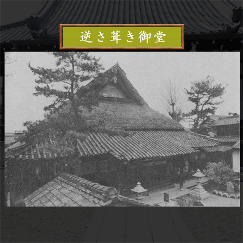 t䓰Q